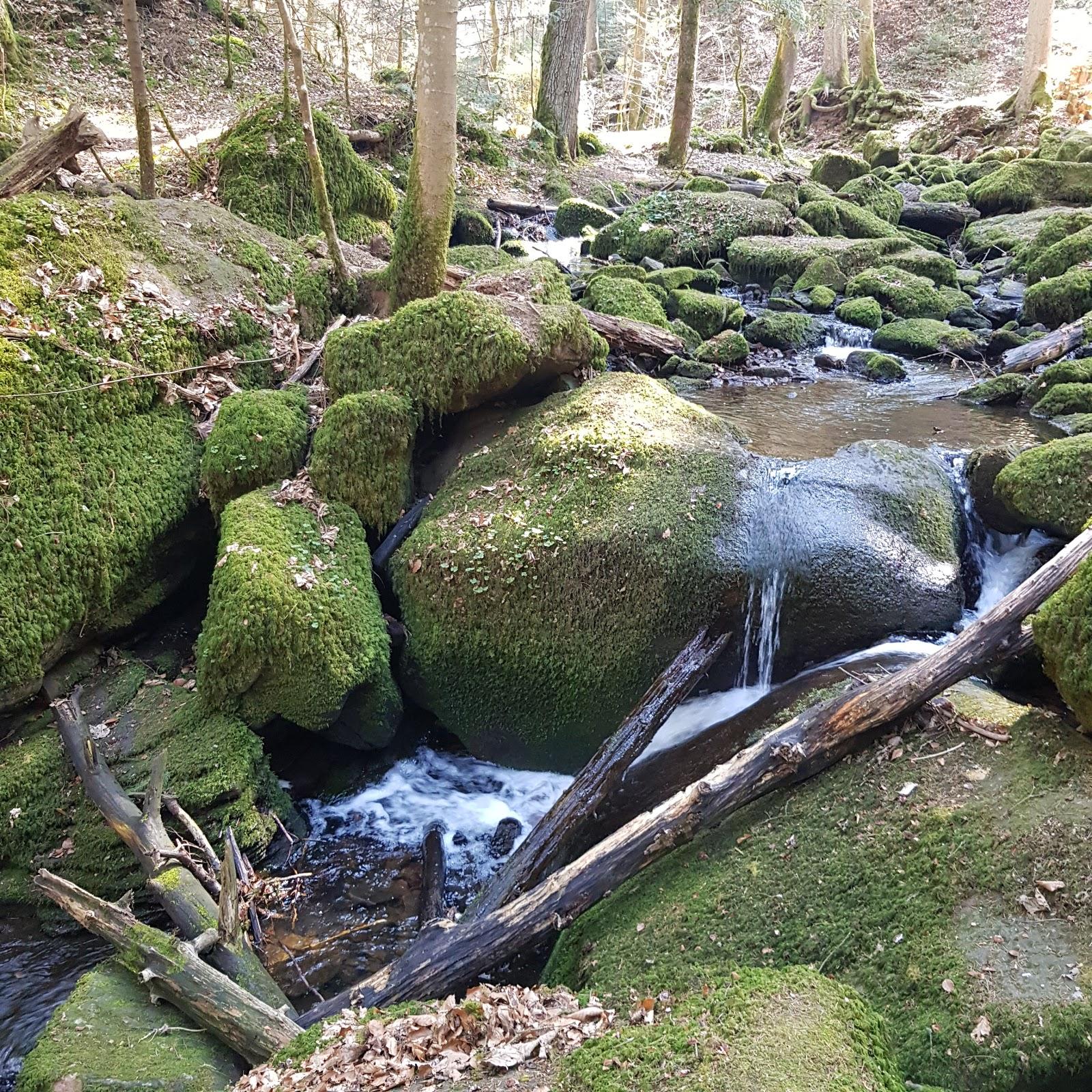 Restaurant "Lammbesen" in  Liebenzell