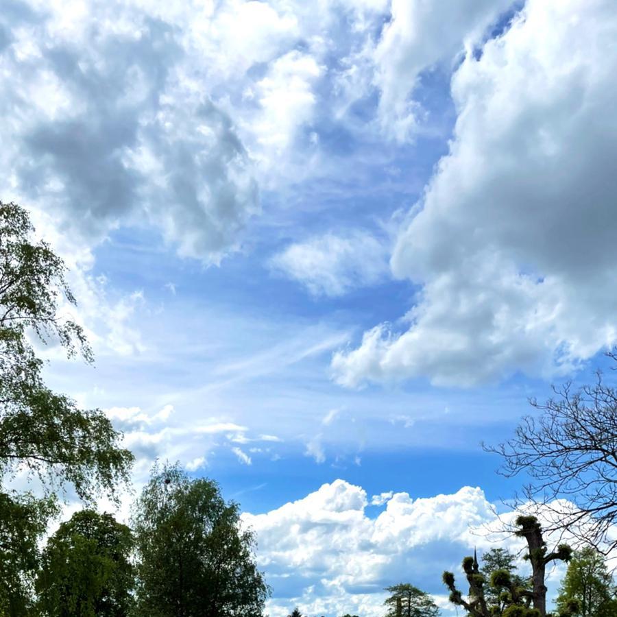 Restaurant "Restaurant Boblitzer Hof Inh. Jakubasch" in  Lübbenau-Spreewald