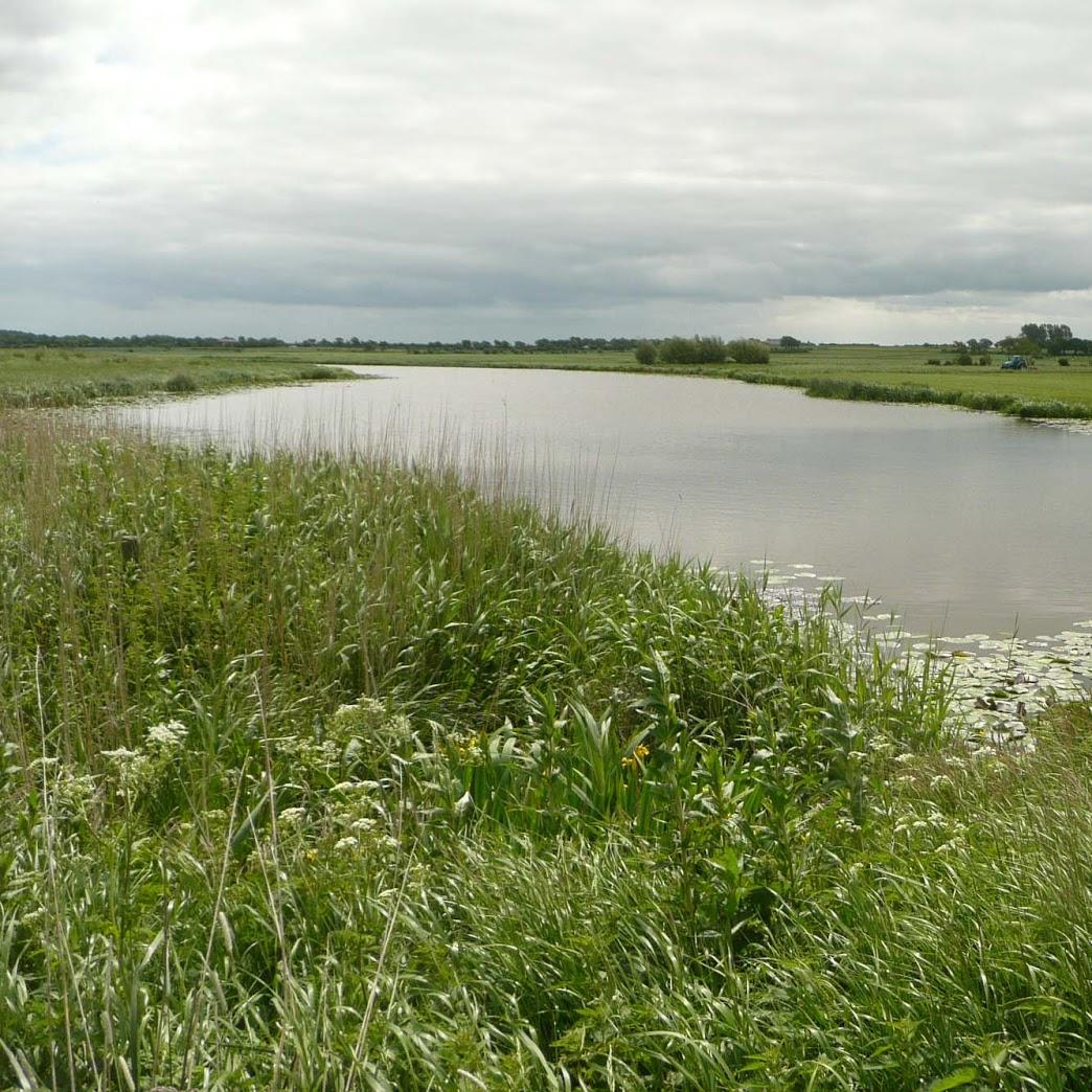 Restaurant "Restaurant Zum Lutz" in  Schwenningen