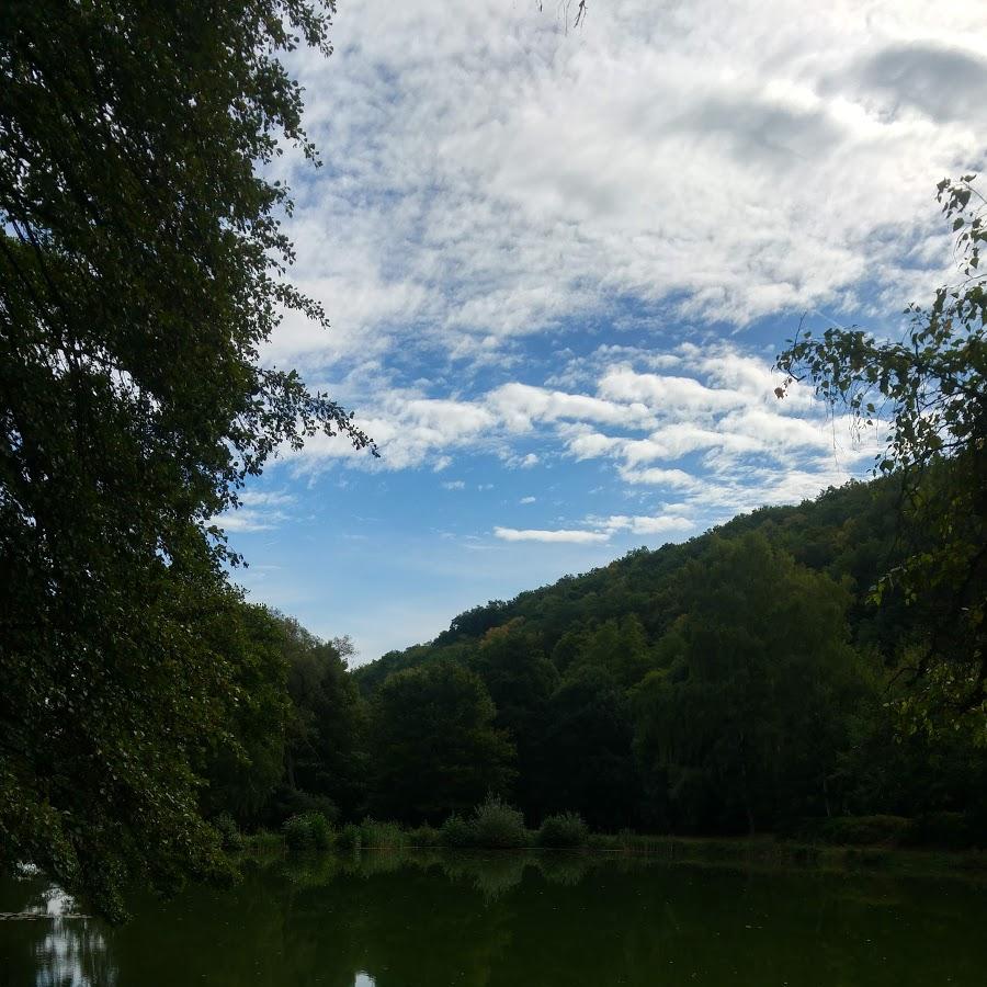 Restaurant "BURGER KING  (Drive-In)" in  Wetzlar