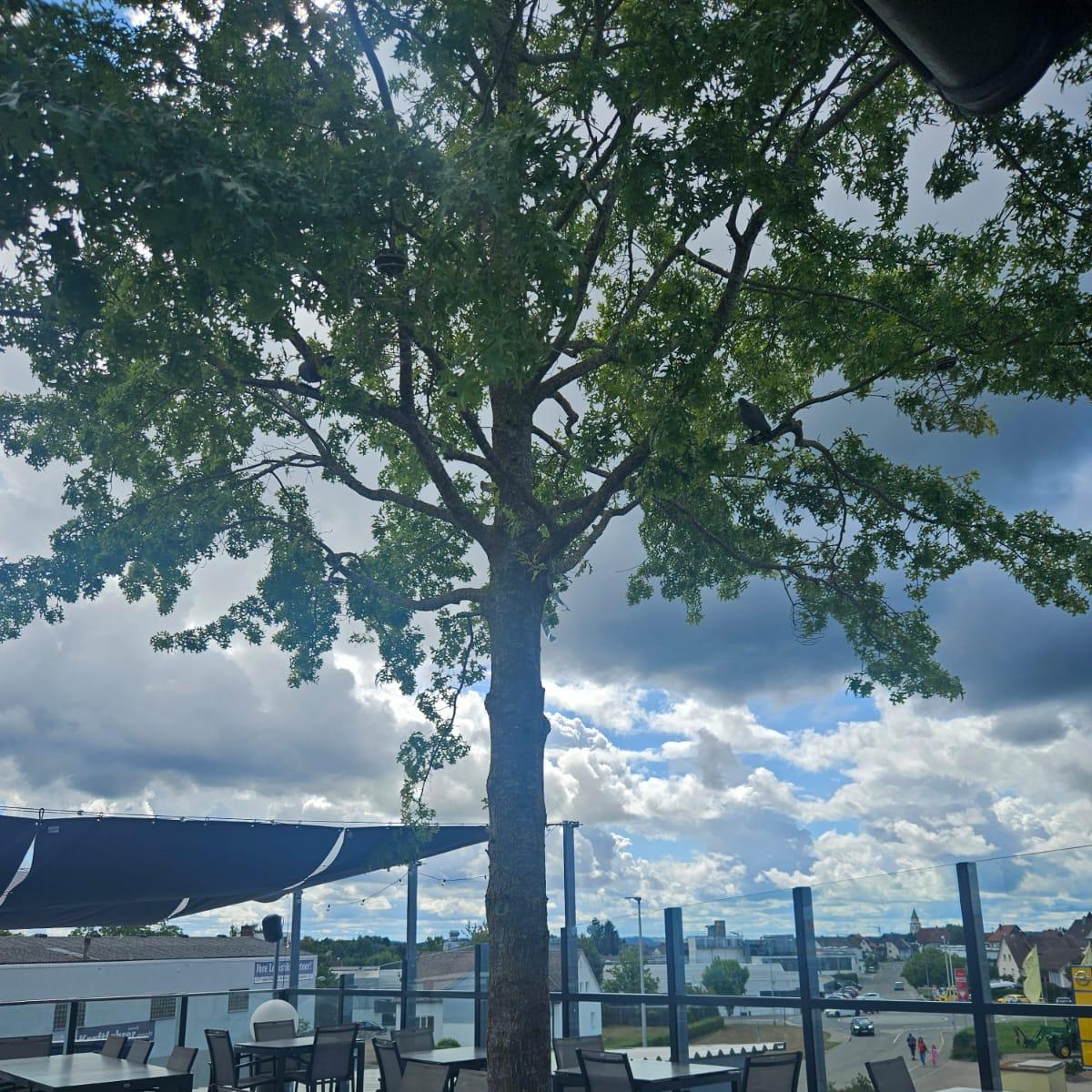 Restaurant "BF Music & Diner GmbH" in Pfalzgrafenweiler