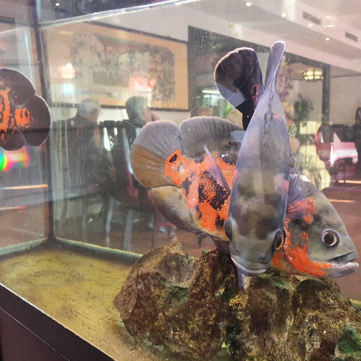 Restaurant "Insel-Paradies" in Wanzleben-Börde