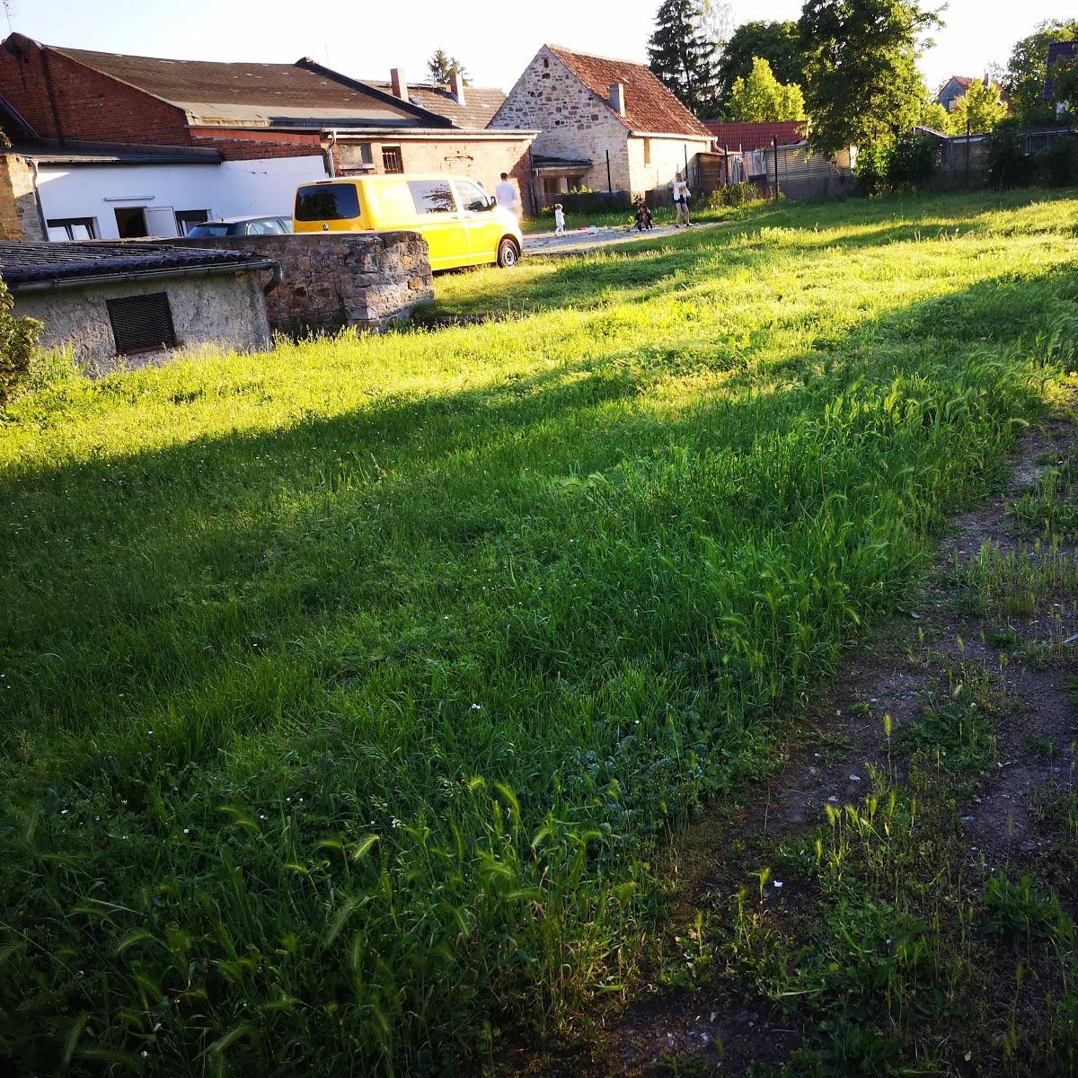 Restaurant "Gaststätte Zur Linde Küpper Torsten" in  Wanzleben-Börde