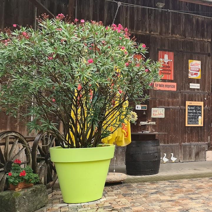 Restaurant "Fischerkeller" in Gottmadingen