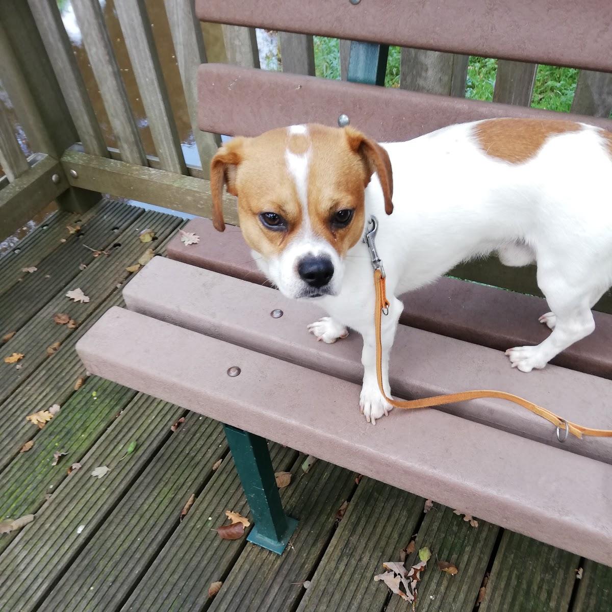 Restaurant "Eiscafé San Remo" in  Bösel