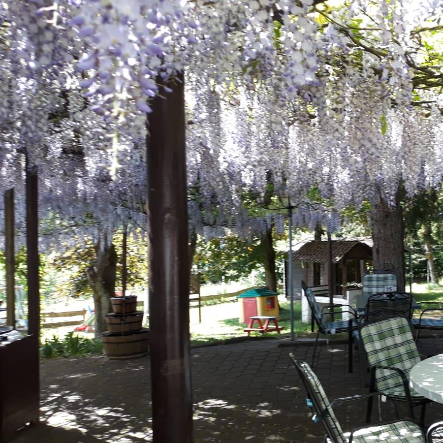 Restaurant "Gasthof Ziegelhütte" in Flörsbachtal