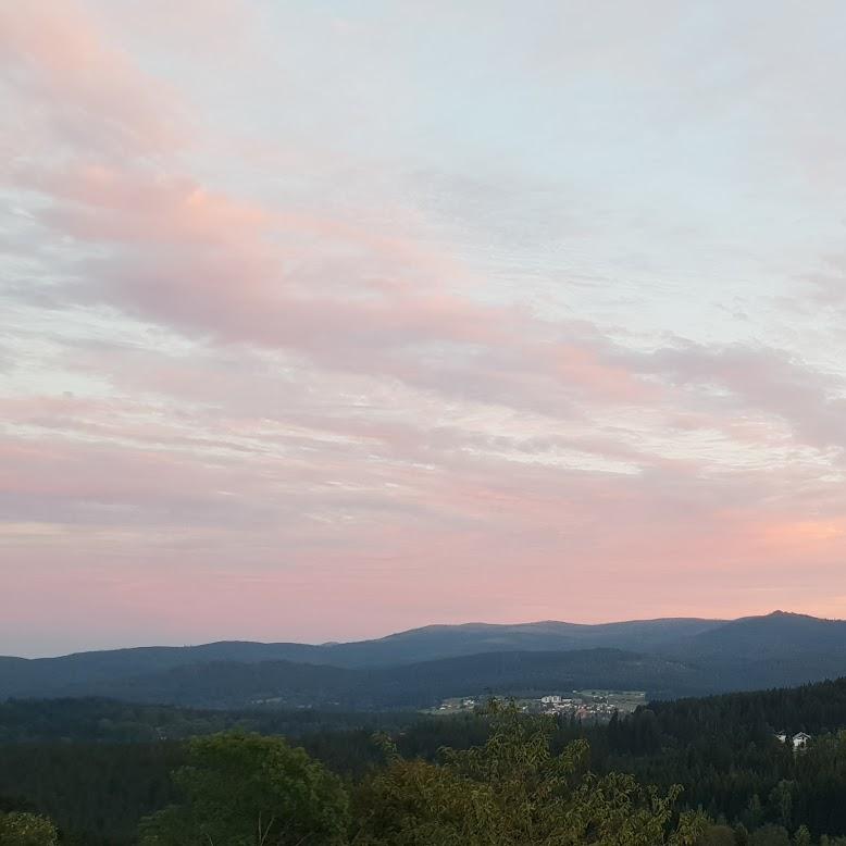 Restaurant "Café Scherz" in  Haidmühle