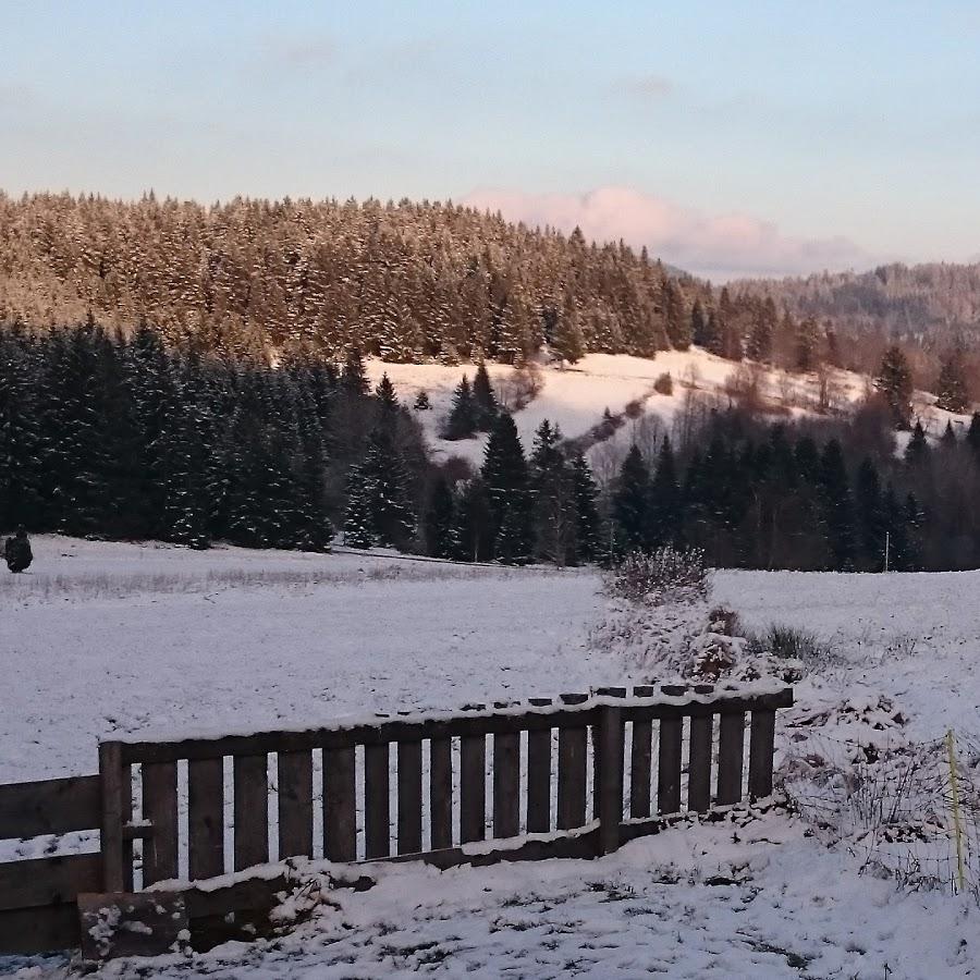 Restaurant "Zwieseltreff" in  Österreich