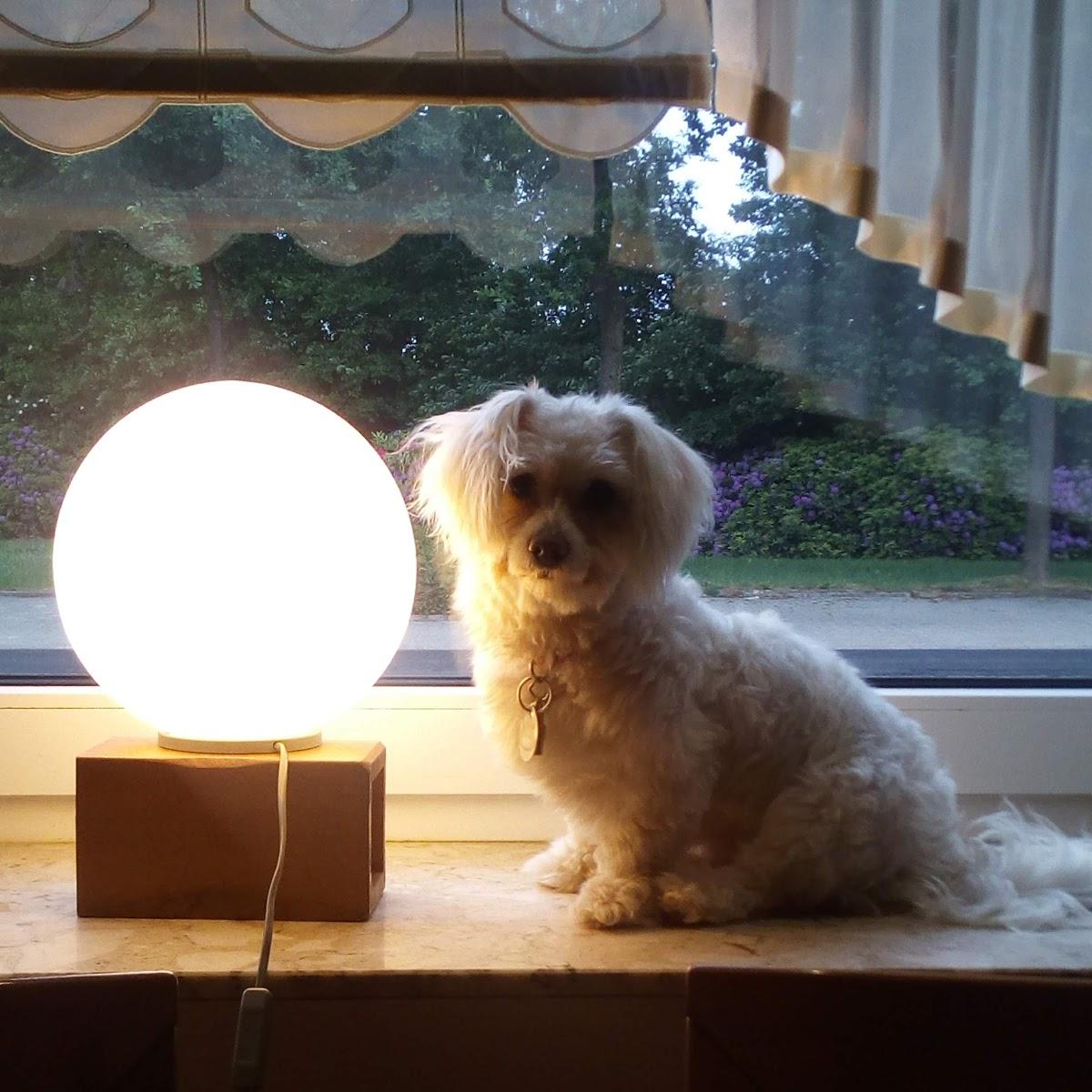 Restaurant "Kochlöffel" in  Rheine