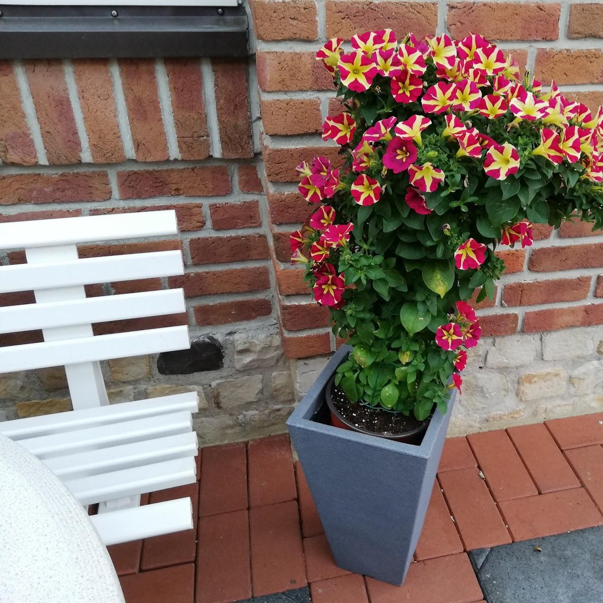 Restaurant "Gasthaus Döring" in  Hankensbüttel