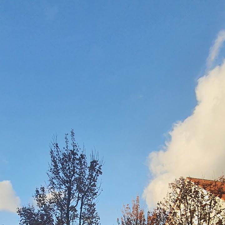 Restaurant "Fortuna" in  Neckarsulm