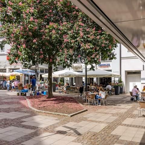 Restaurant "Restaurant Cha Cha Cha" in  Hof