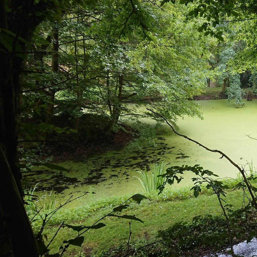 Restaurant "Bistro Imbiss Sixties" in  Mayen