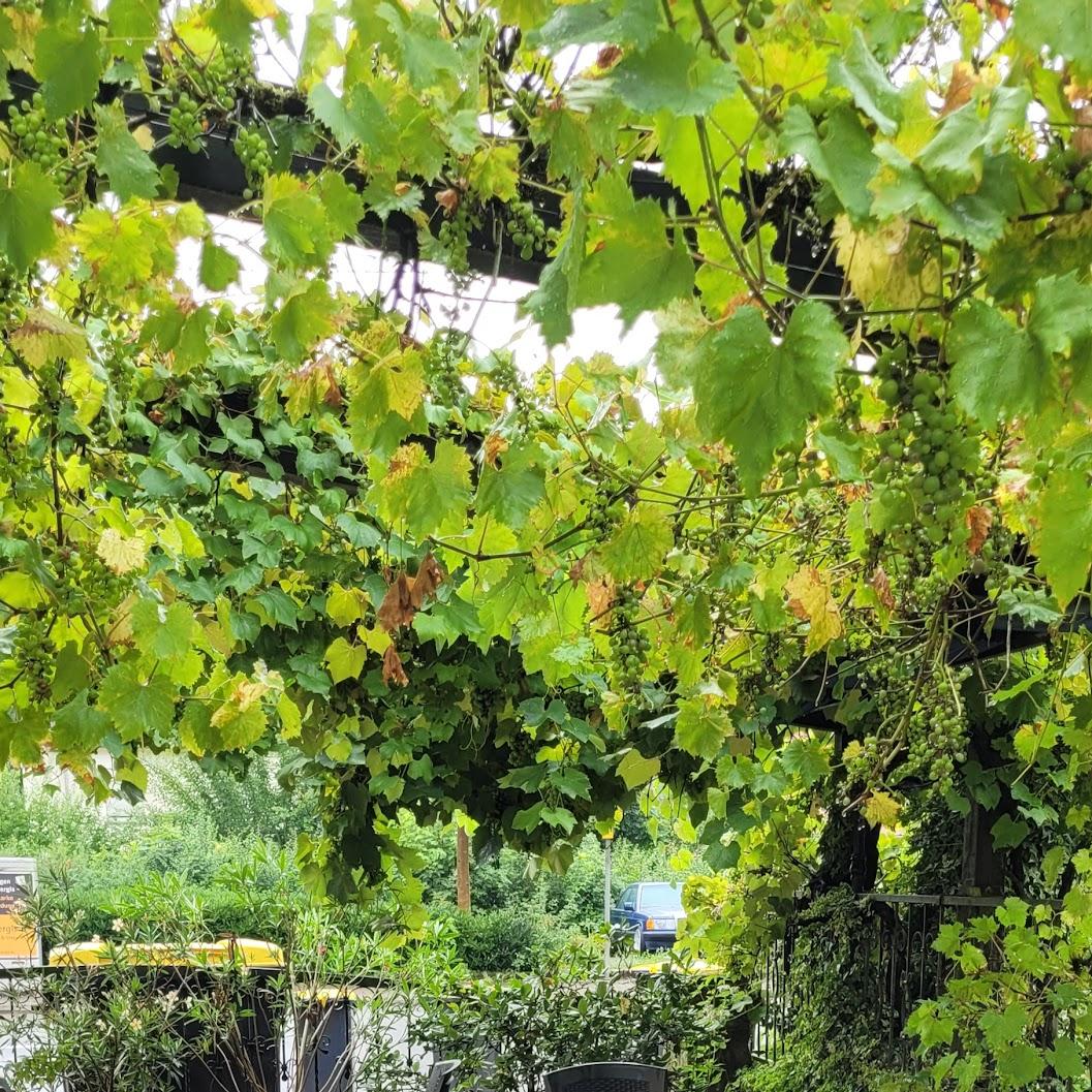 Restaurant "Gasthaus Müller Inh. Familie Müller" in Püttlingen