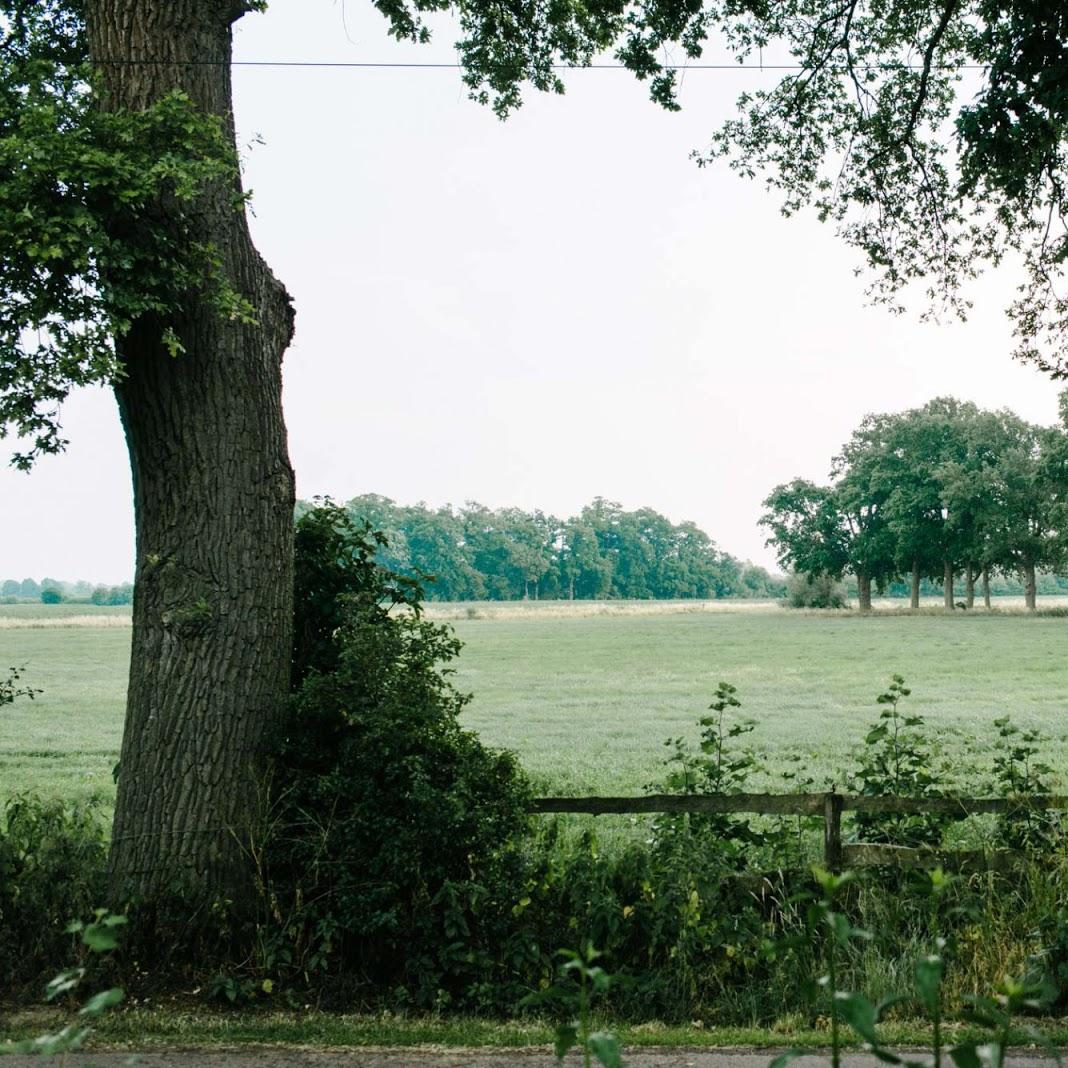 Restaurant "Ahburs Schüne Hof - Café & Eventlocation" in Marklohe