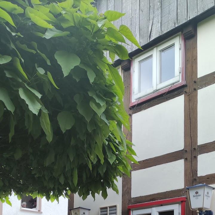 Restaurant "Ristorante La Scala" in Extertal