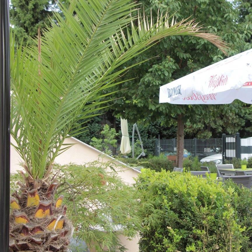 Restaurant "Alexis Greek Restaurant" in Eltville am Rhein