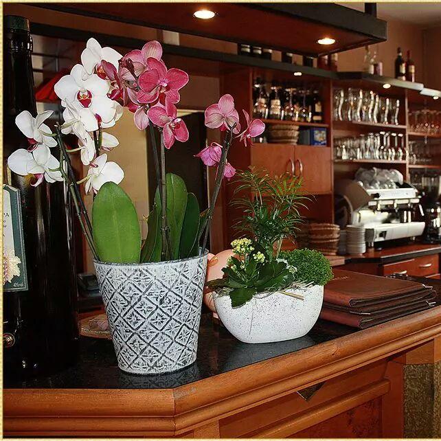 Restaurant "Restaurant GeA" in  Glückstadt