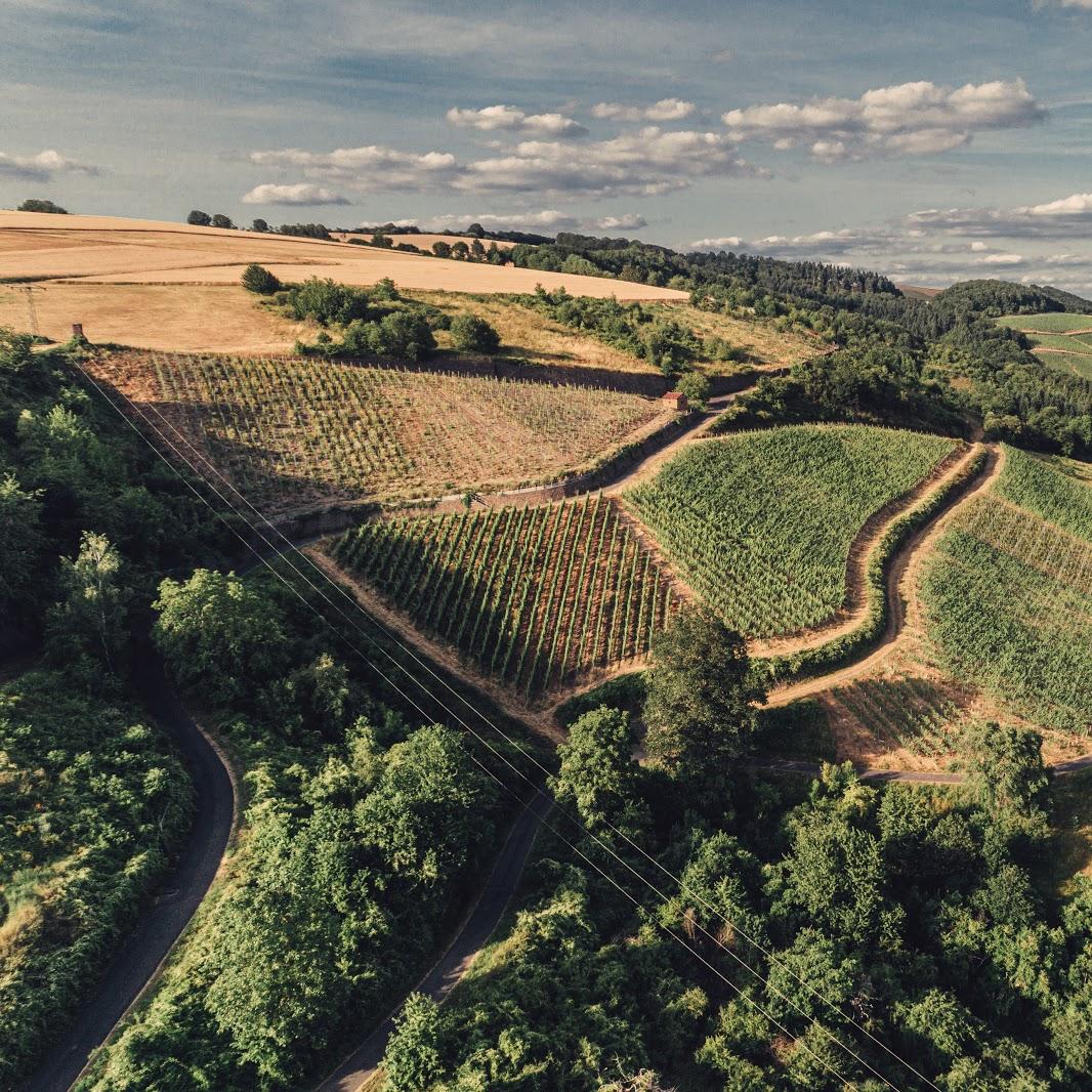 Restaurant "Weingut Badischer Hof" in  Monzingen