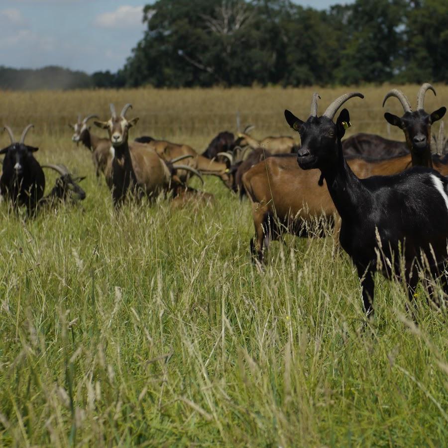 Restaurant "Asendorf`s Bauerndiele" in  Beckeln