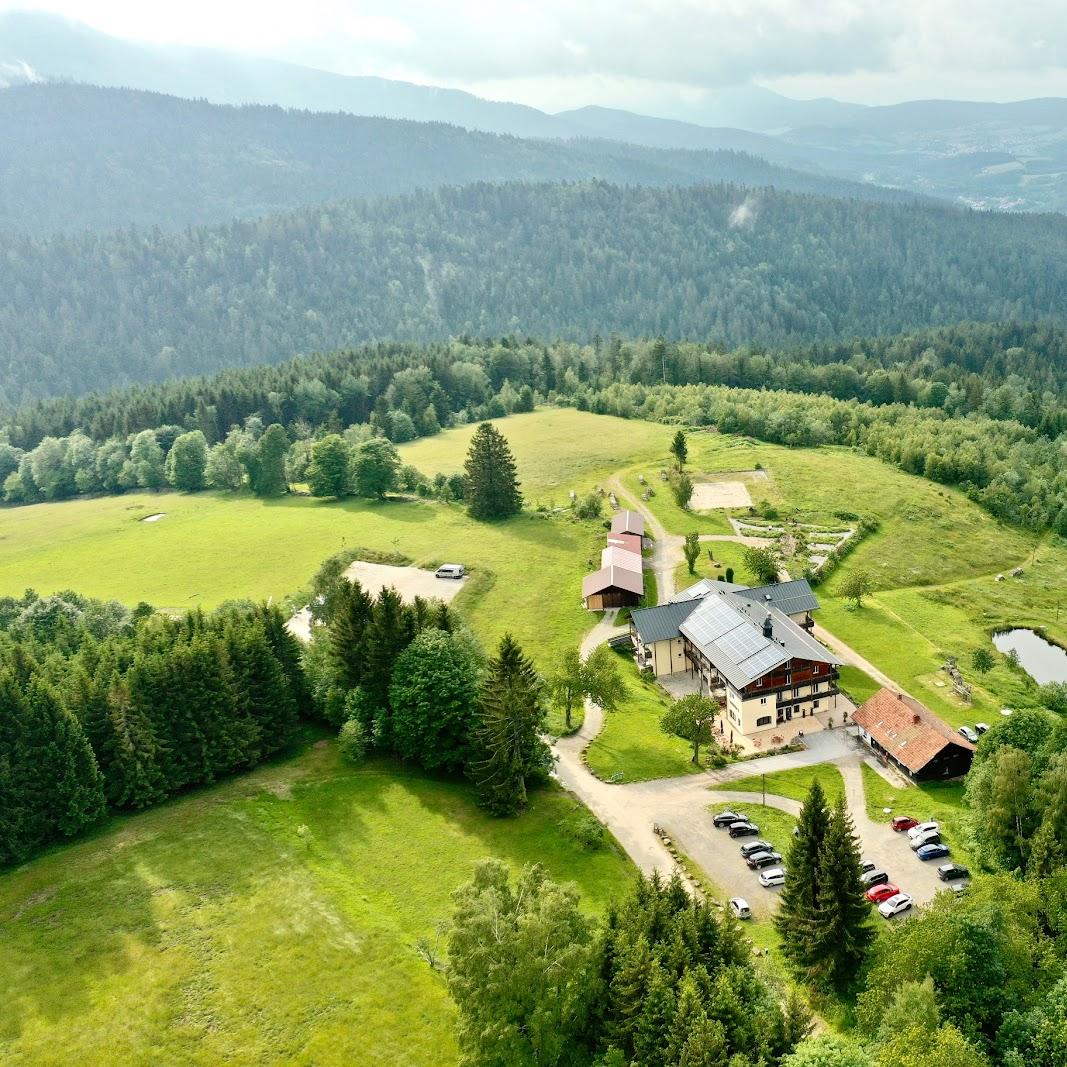 Restaurant "Berghotel Mooshütte am Arber" in Lohberg