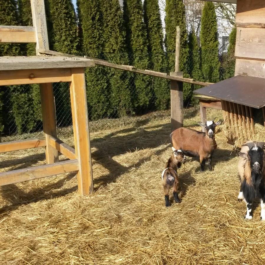 Restaurant "Wolfgang Ewen" in  Idenheim