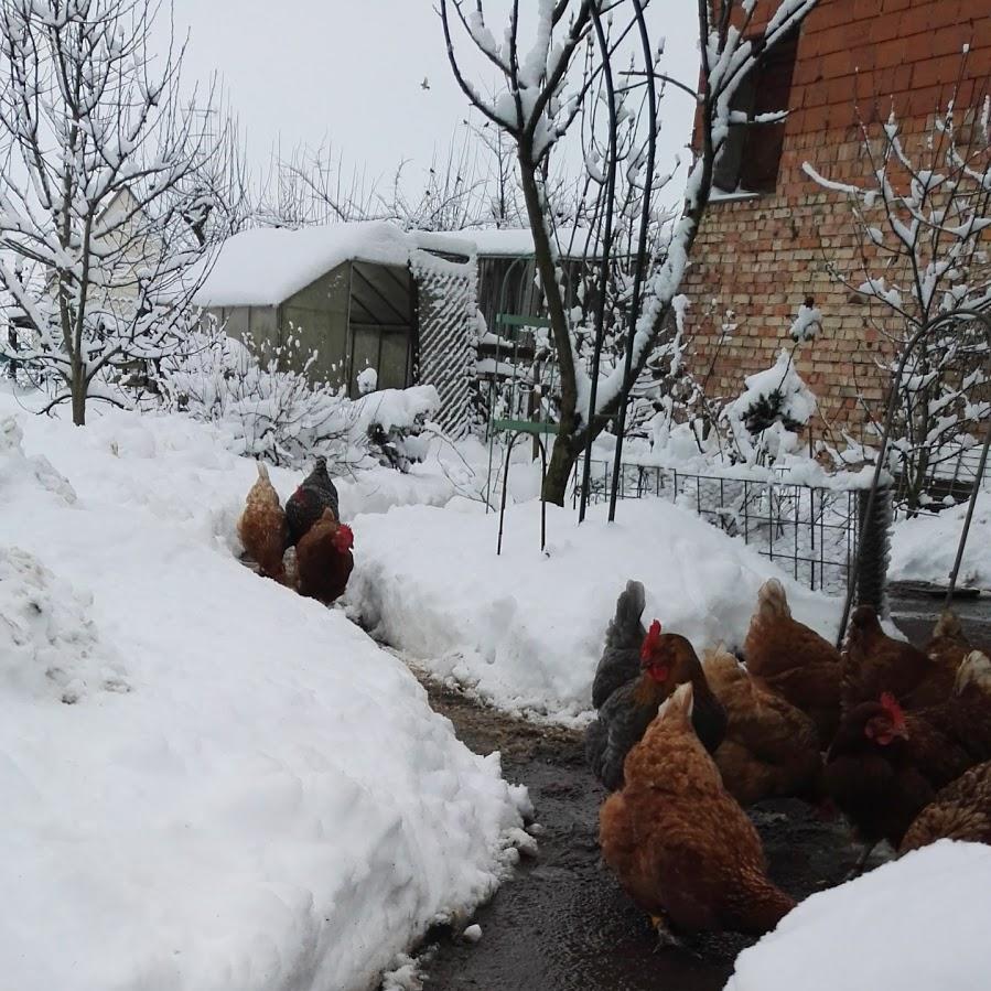 Restaurant "Seestüble" in  Tiefenbach