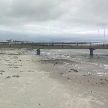 Restaurant "Café Mehlbeere" in  Großenbrode