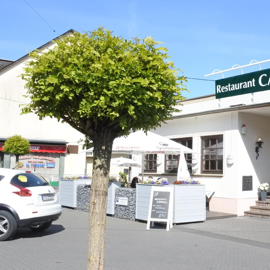 Restaurant "Restaurant Casa" in Trier