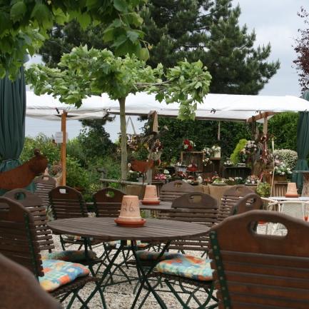 Restaurant "Gaststätte und Pension - Vogtshof von Wetteldorf" in  Schönecken