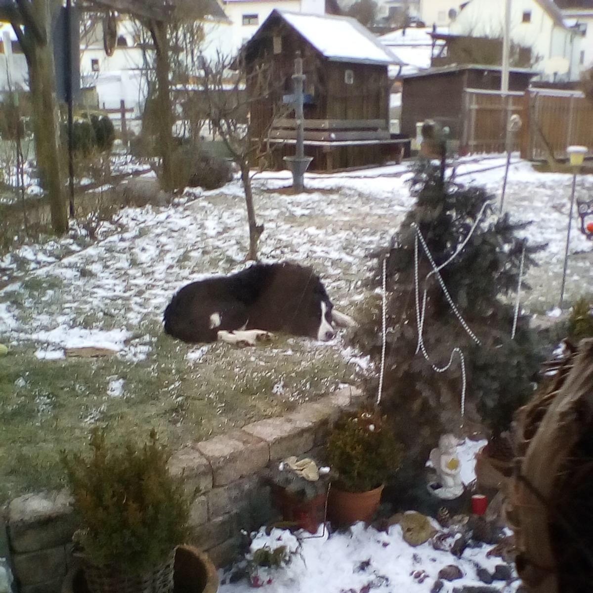 Restaurant "Stadion-Klause" in  Nentershausen