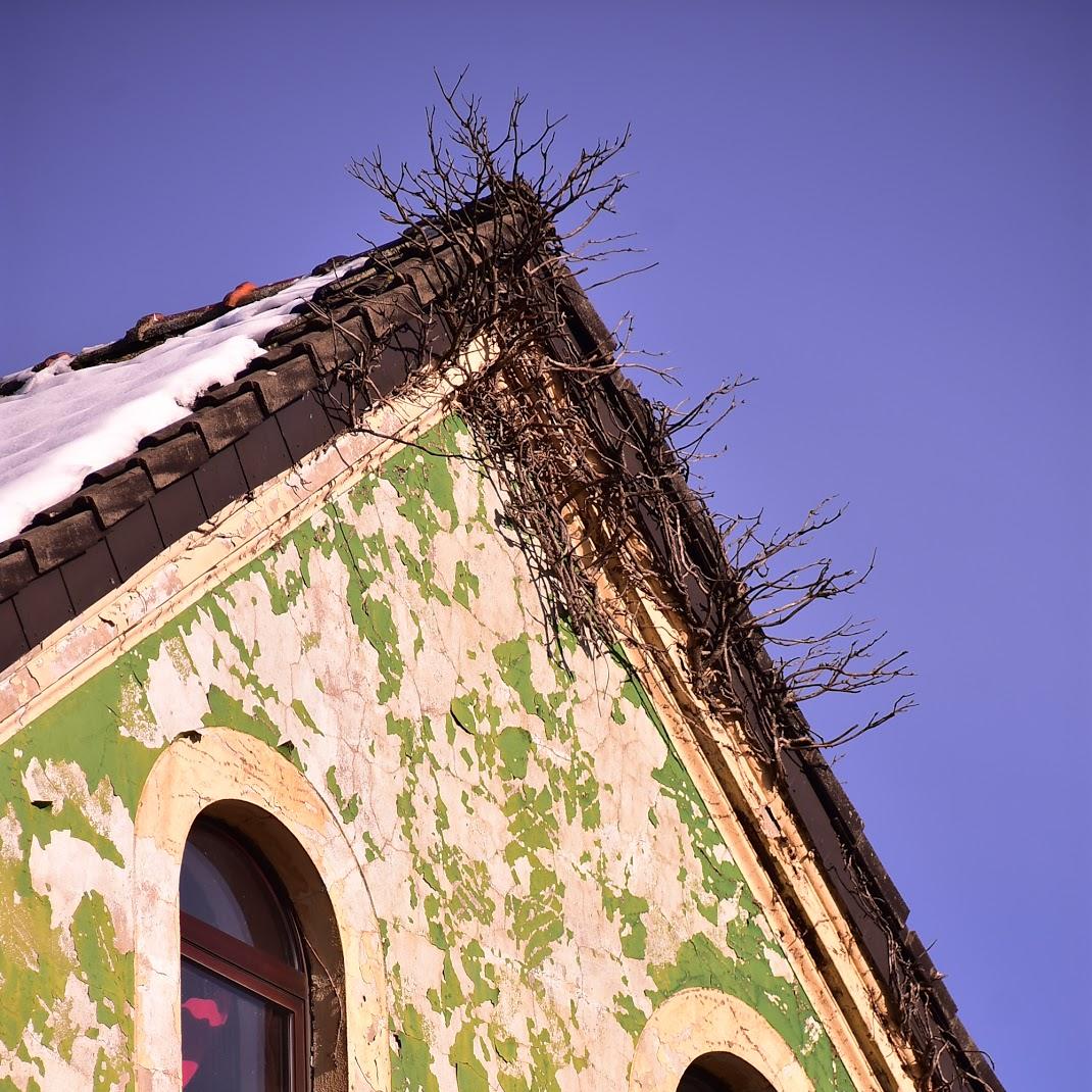 Restaurant "ÖMER PIZZA DÖNER NUDELN" in  Oer-Erkenschwick