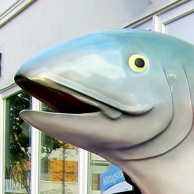 Restaurant "FischZeit – Die Fischbrötchen-Manufaktur" in Eckernförde