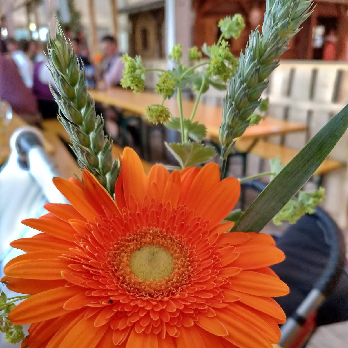 Restaurant "Burschenfest Rettenbach" in  Pfaffing