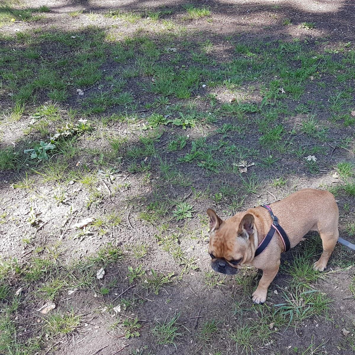 Restaurant "CUN" in  Salzgitter