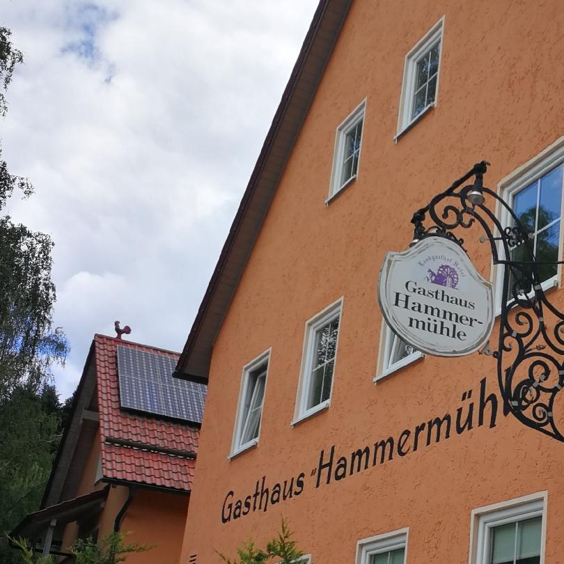 Restaurant "Landgasthof Hotel Hammermühle" in  Donaustauf