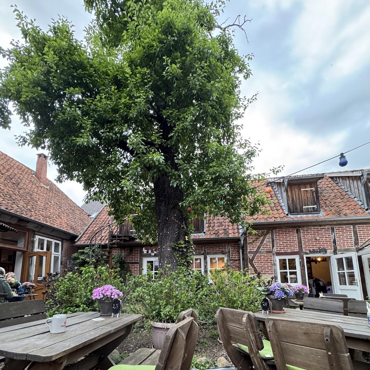 Restaurant "r Brauhaus" in Bleckede