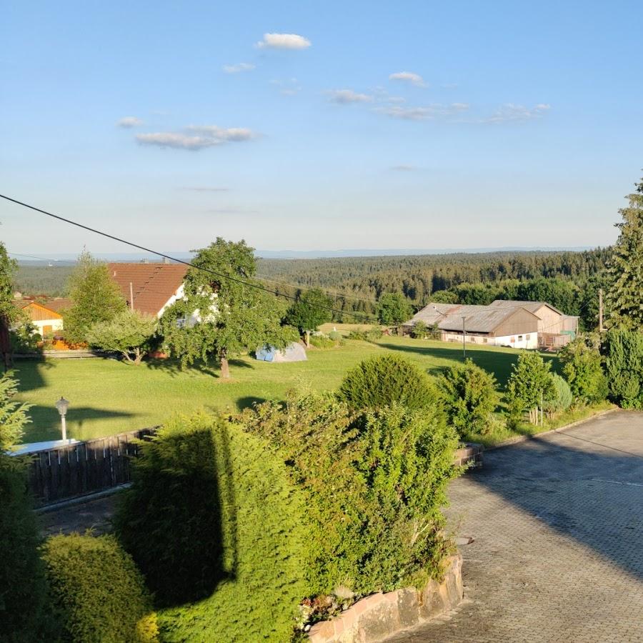 Restaurant "Landhotel Traube" in  Seewald