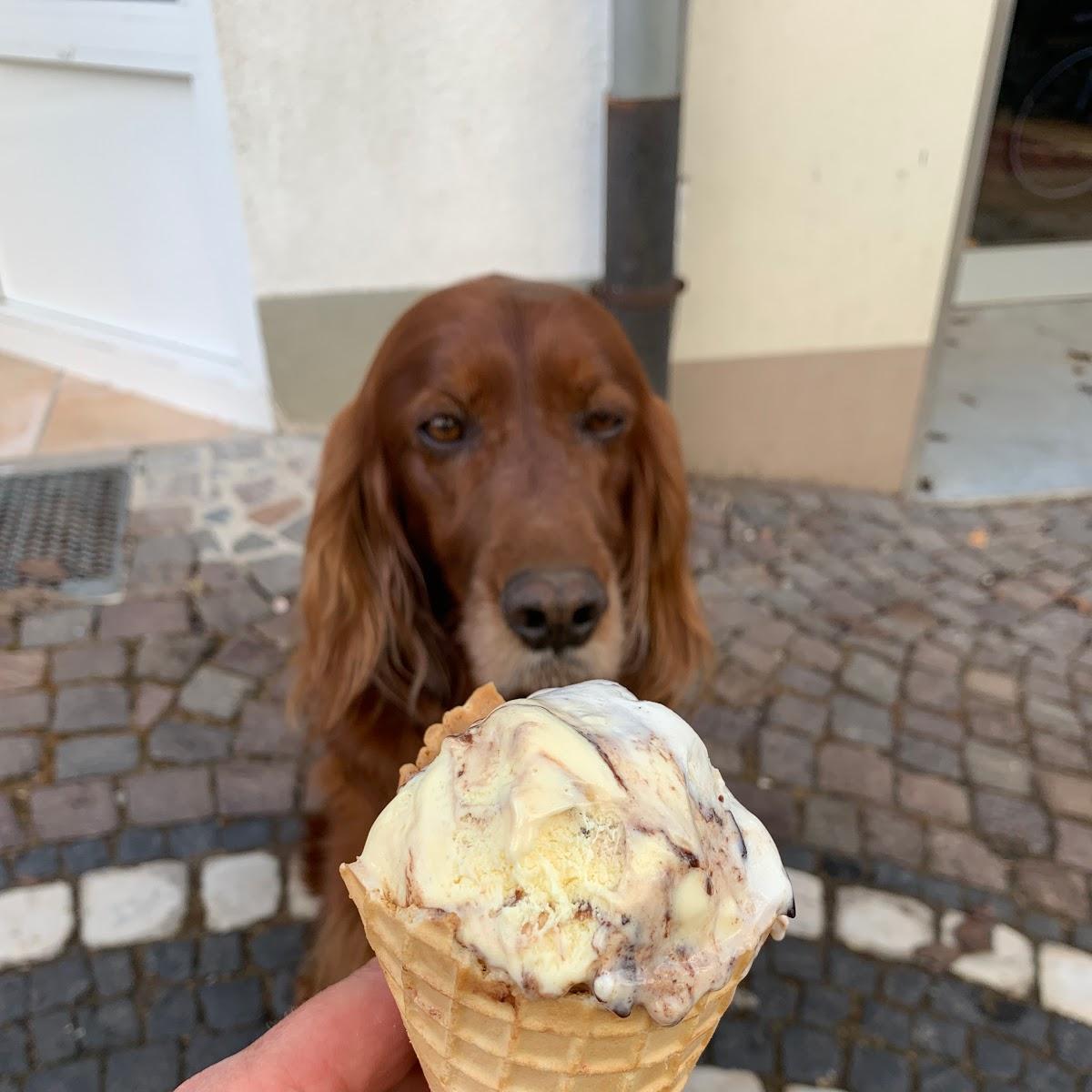 Restaurant "Eisdiele Venezia" in  Witzenhausen