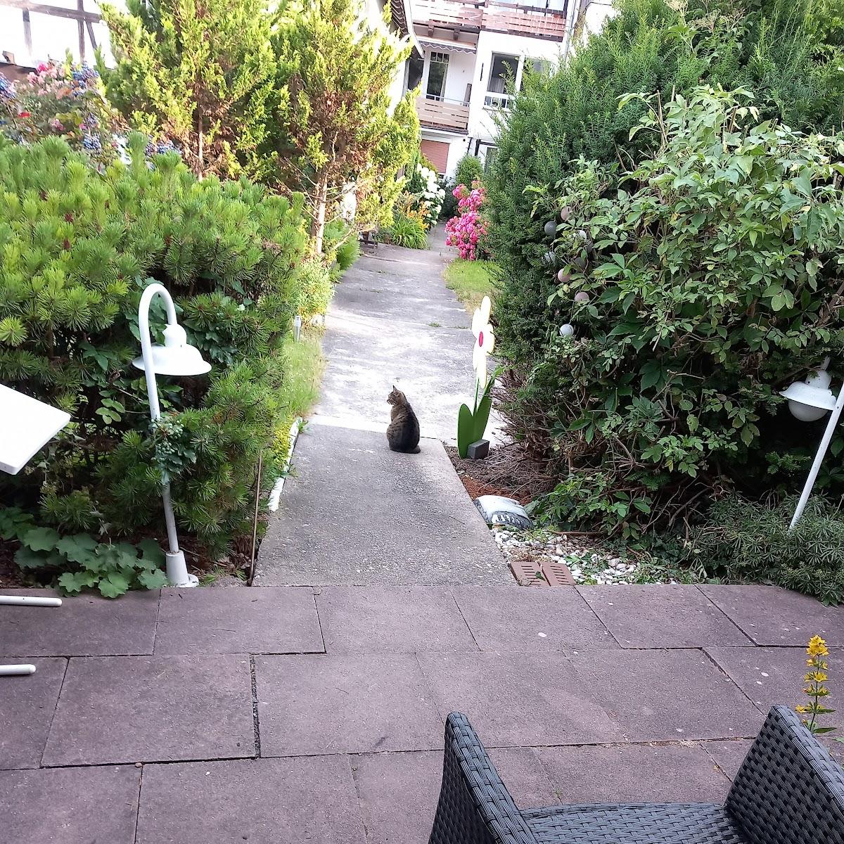 Restaurant "Pizzeria Rialto" in Bad Sooden-Allendorf