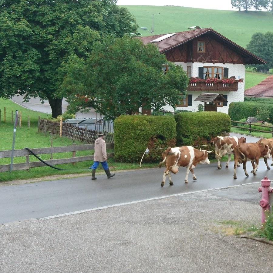 Restaurant "Landgasthof Muehlegger" in  Wildsteig