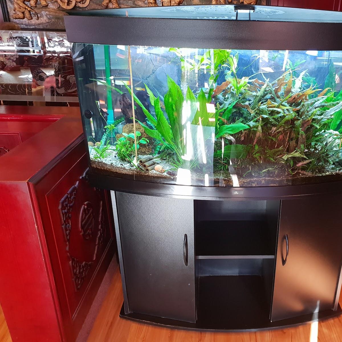 Restaurant "China Restaurant Panda" in  Linden