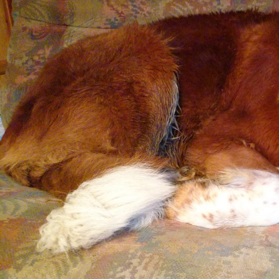 Restaurant "Bäckerei & Konditorei D. Eckhardt GmbH & Co" in  Hallenberg
