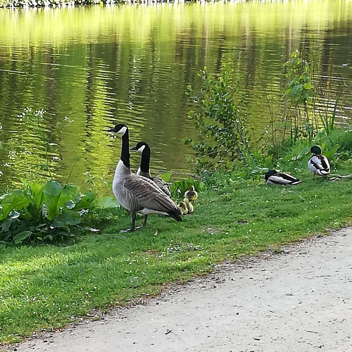 Restaurant "Pizzeria Lio" in  Fürstenau