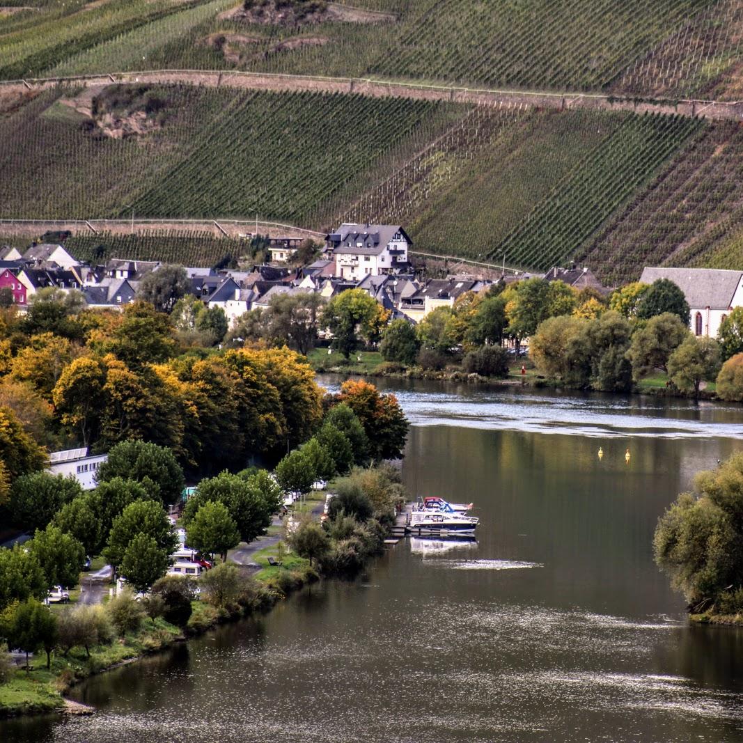 Restaurant "Alfred und Renate Kallfelz" in  (Mosel)