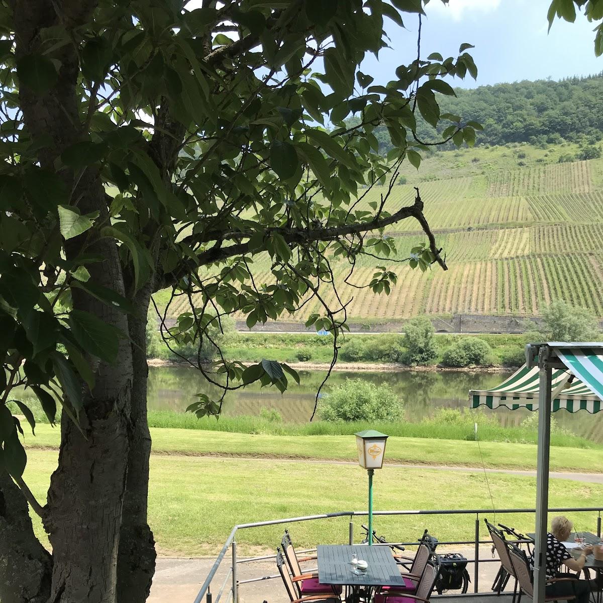 Restaurant "MOSEL-TERRASSE „zur Traube 2.0“" in Reil