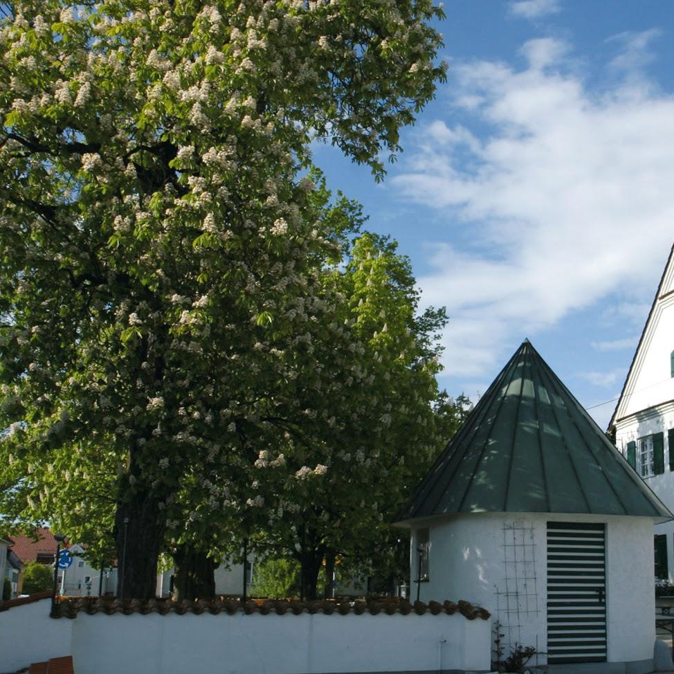 Restaurant "Hotel & Gasthof Munding" in  (Schwaben)