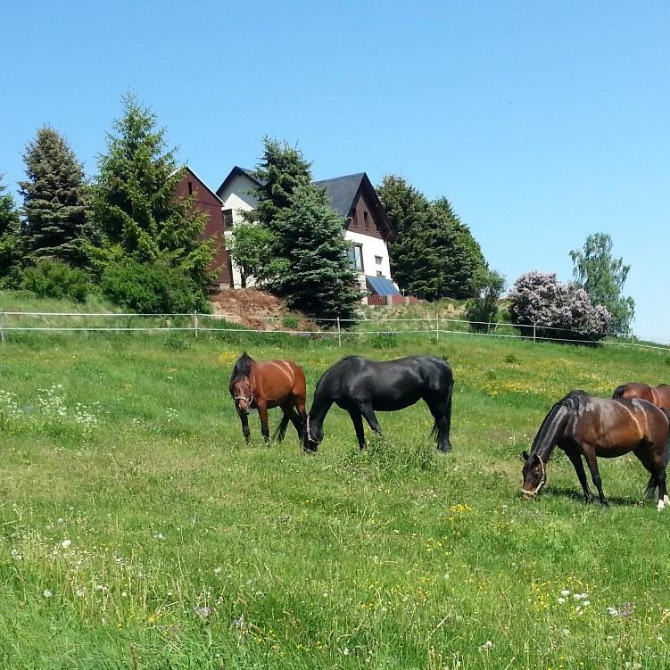 Restaurant "Ferienhaus Liselotte Baumann" in Breitenbrunn-Erzgebirge