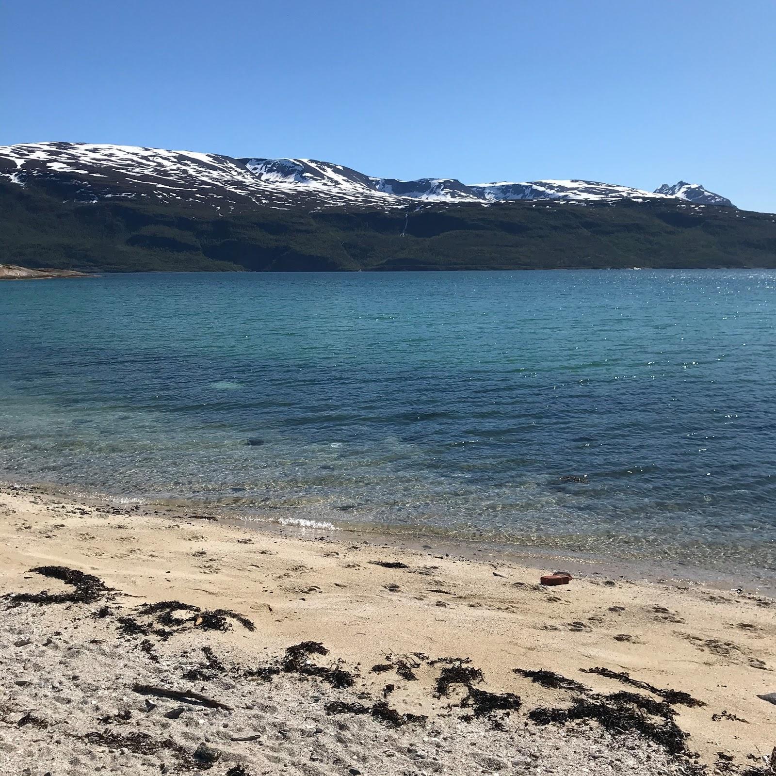 Restaurant "Oase  - Pizza & Kebap" in  Riedlingen