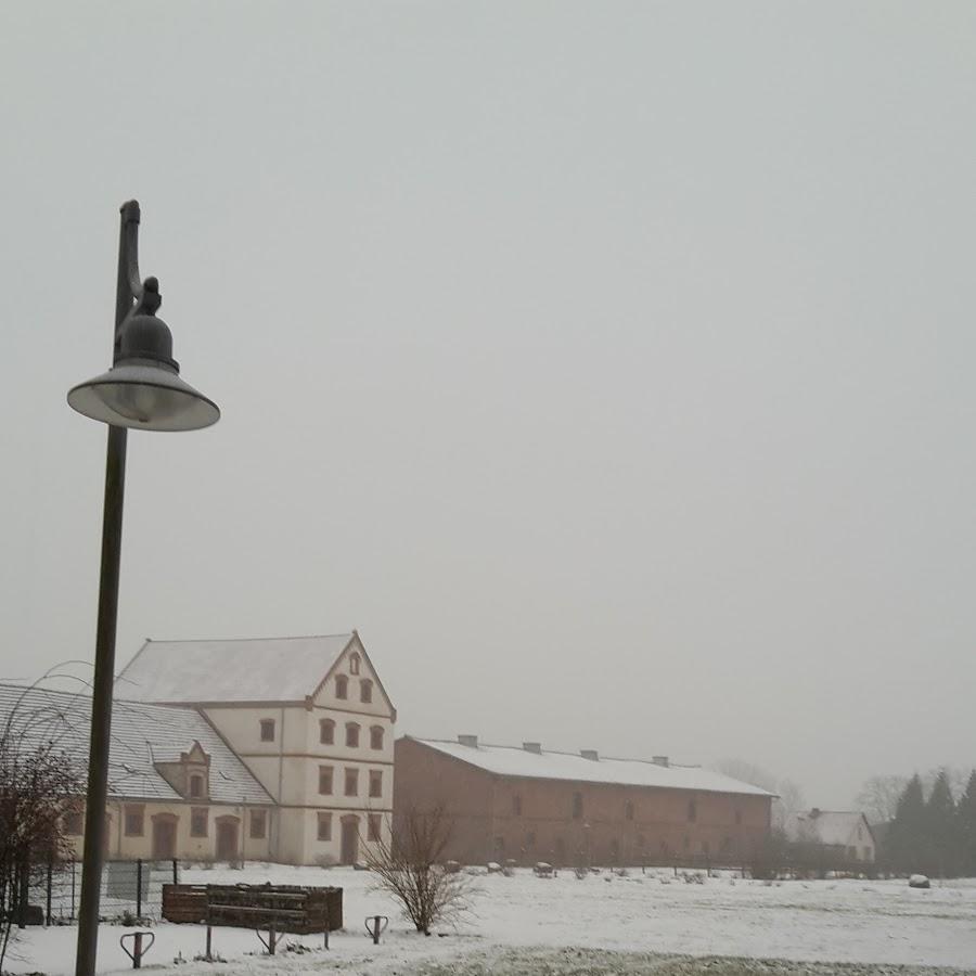 Restaurant "Hotel und Restaurant  Zum Birkenhof " in  Großwoltersdorf